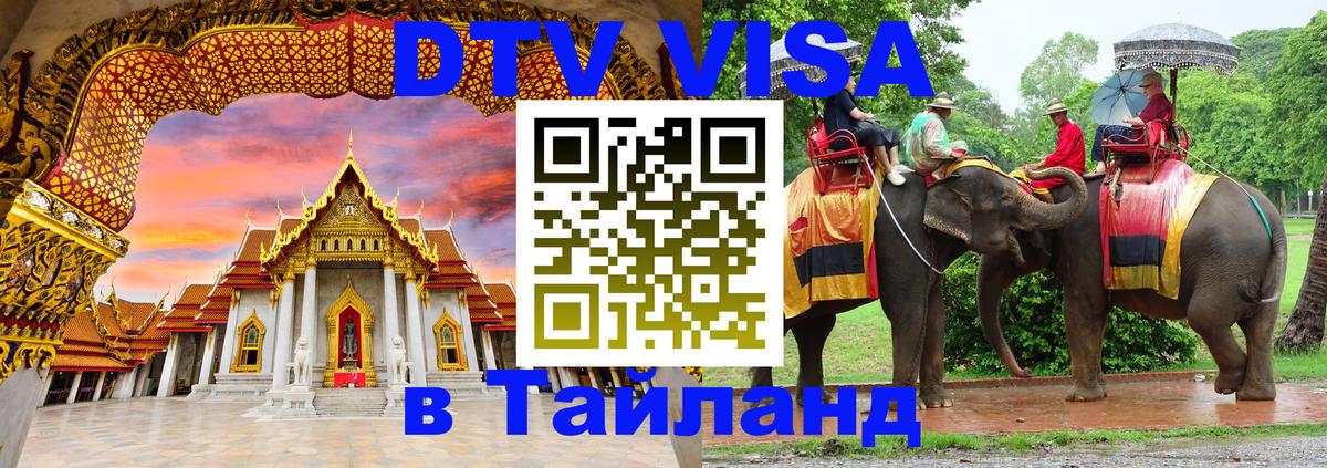 Оформление DTV визы под ключ: стоимость и тарифы, только загранпаспорт - 